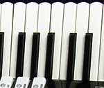 Piano Accordion Keyboard - Standard White Keys