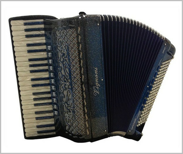 vignoni accordion review