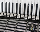 Weltmeister (Galotta) Cantus IV Deluxe 120 Bass Piano Accordion
