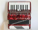 Delicia Junior 26  48 Bass Piano Accordion - Accordion Lounge